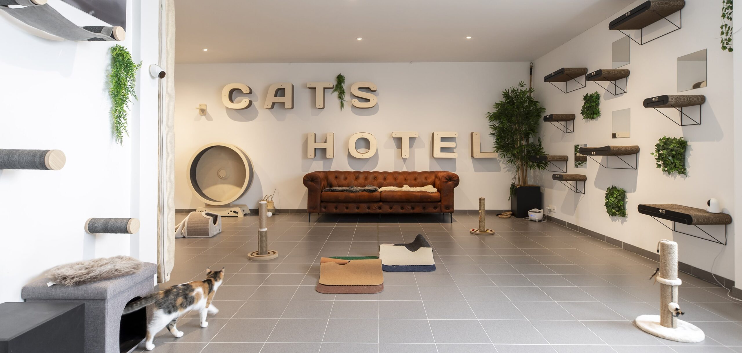 Cat's Boutique Hôtel - Braine l'alleud